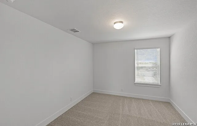 413 Hinsdale Run — Photo 20