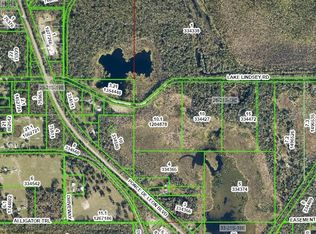 Lake Lindsey Rd LOT 1, Brooksville, FL 34601