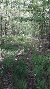 1314 S Brasser Rd, Sault Sainte Marie, MI, 49783