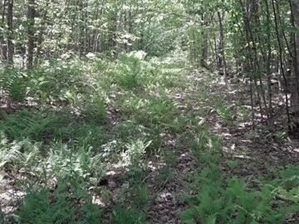 1314 S Brasser Rd, Sault Sainte Marie, MI 49783