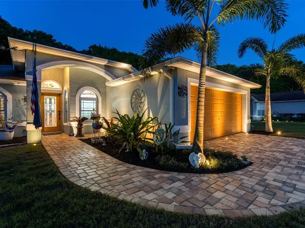 24429 Painter Dr, Land O Lakes, FL 34639