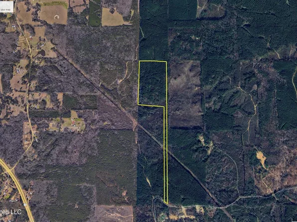 Levi Cooper Rd, Florence, MS 39073