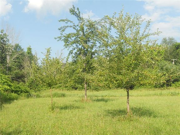3rd image of Gridleyville Rd