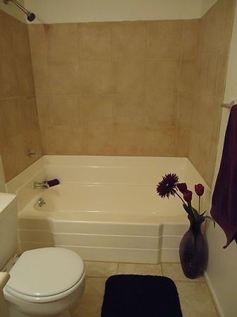 1st image of 1050 N Horne APT 11
