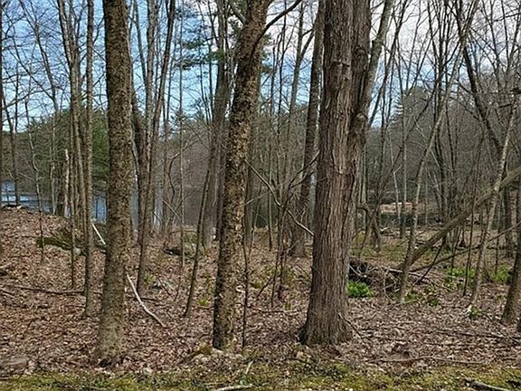 2nd image of 169 Shoreline Dr