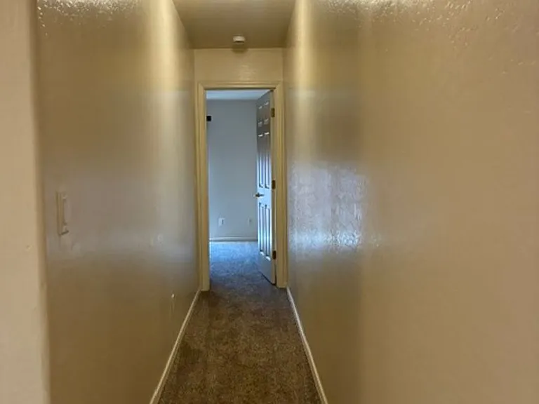 1119 Leaf Ln — Photo 11