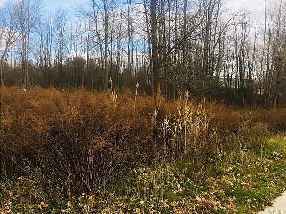 2nd image of 917 Meadow Dr