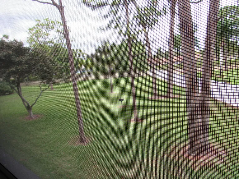 703 Sunny Pine Way #G2 — Photo 18
