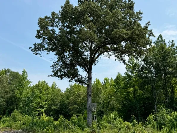 1 Pioneer Rd, Barnwell, SC 29812