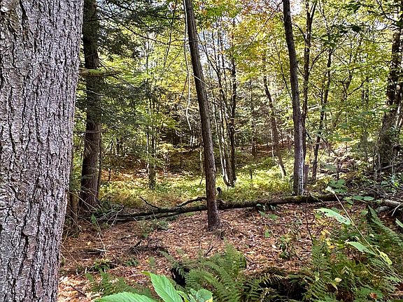3rd image of 0 Moore Hill Lot 3 Road