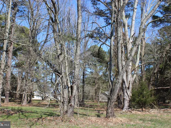 134 Neptune Dr, Greenbackville, VA 23356