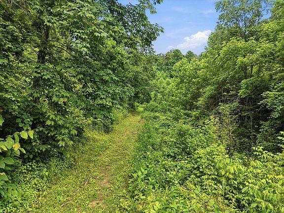 4th image of 282 Hickman Hollow Rd