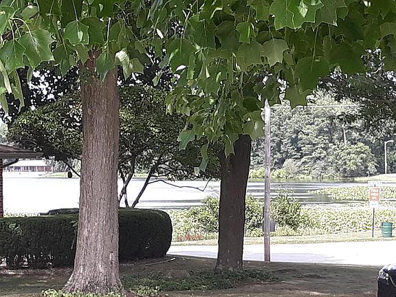 View from living room