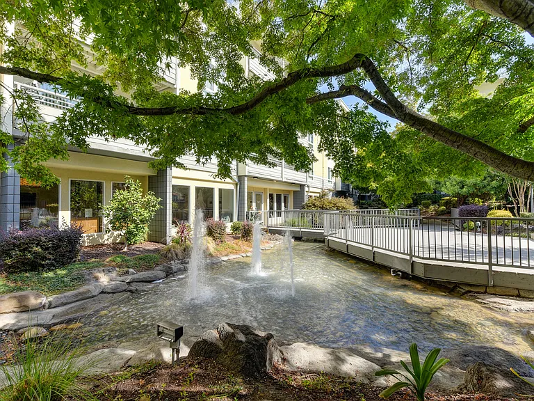 On-site Pond With Water Features