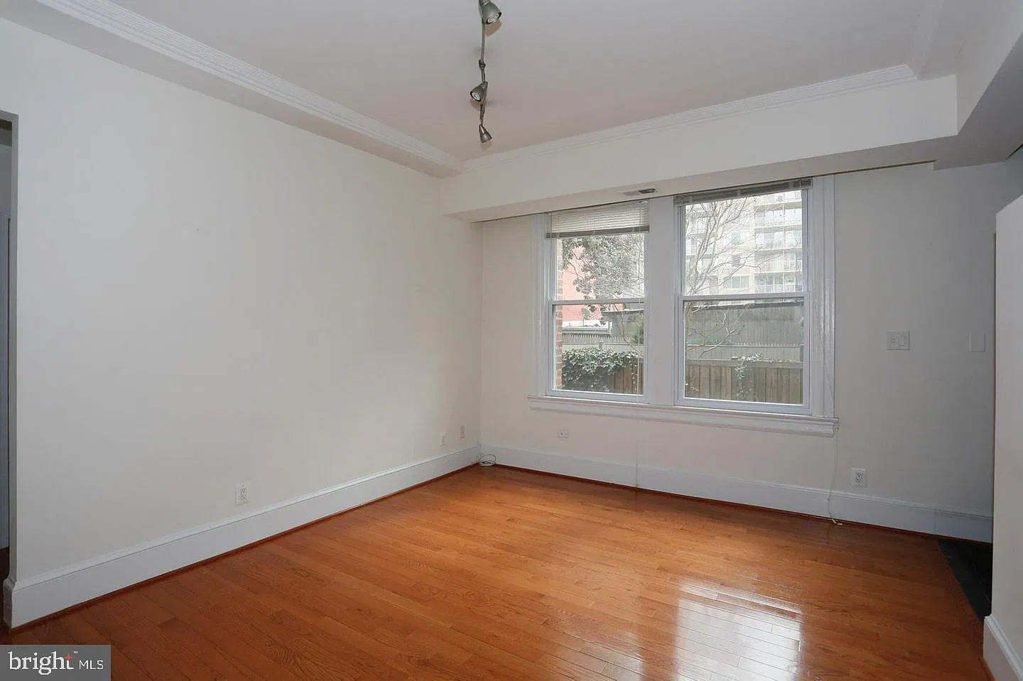 Central — Photo 3