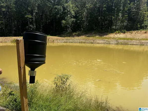 0 Copper Springs Rd #0, Odenville, AL 35120