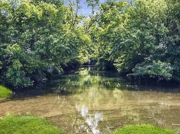 3306 Deerchase Cir #3306 — Photo 5