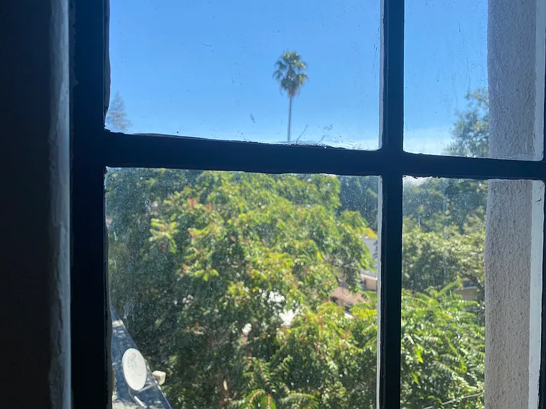 1 Duane Street Apartments — Photo 14