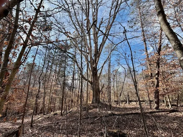Off Of Jones Overlook, Howardsville, VA 24562