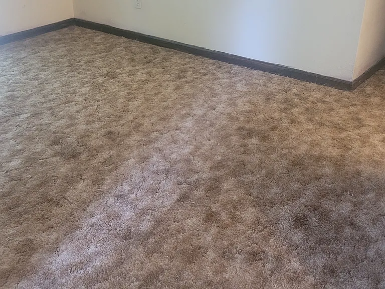1683 Baugh St #1683 — Photo 13