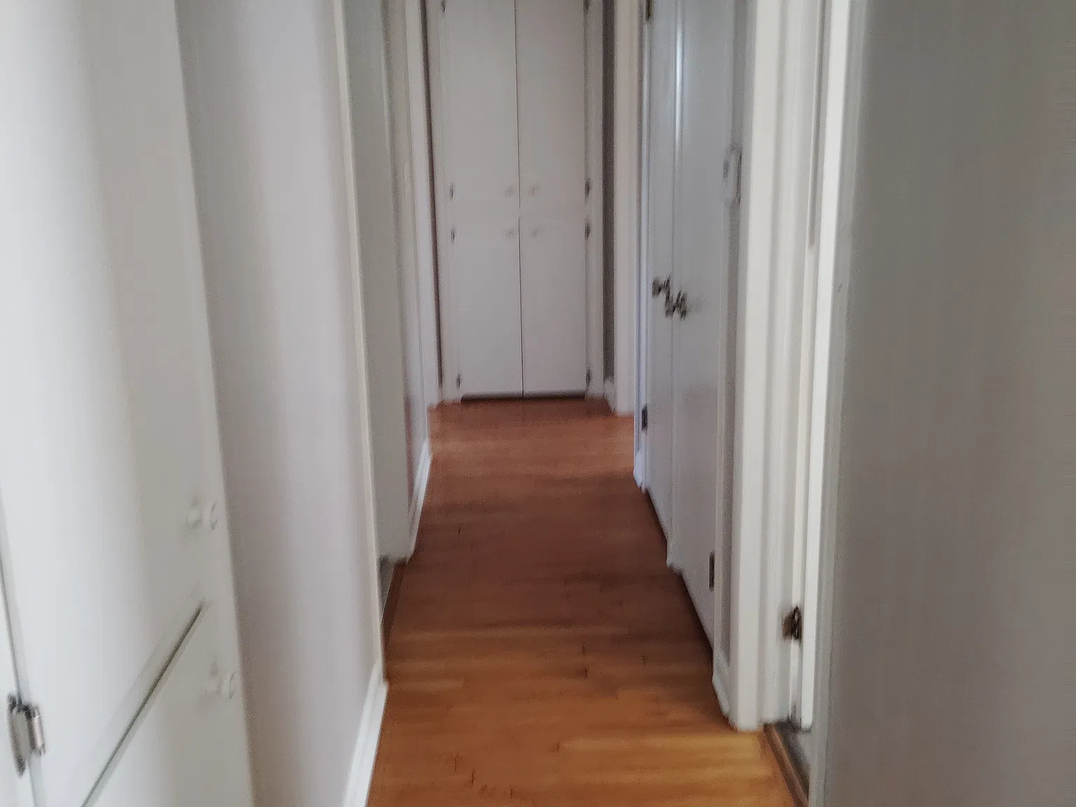 3 bed, 1240 sqft, $1,600 — Photo 2
