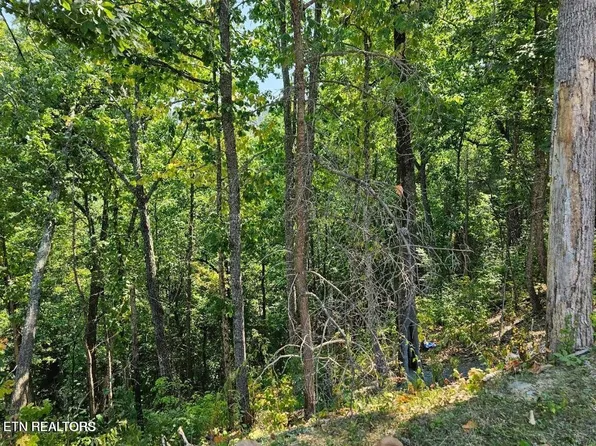 13 Villa Ridge Pl Lot 13AR, Sevierville, TN 37862