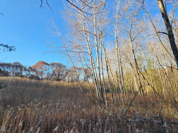 223ZZ Lake George Blvd NW, Bethel, MN 55005