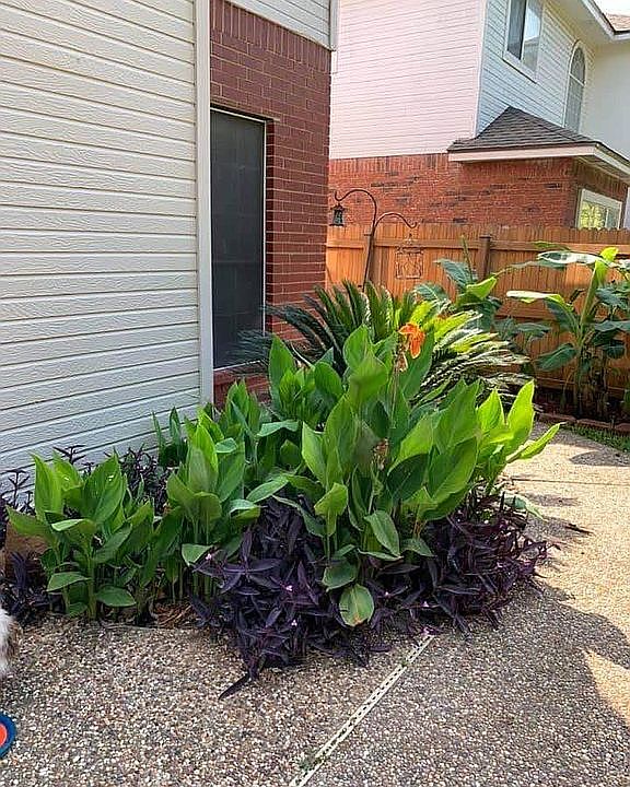 2nd image of 10511 Pembriar Cir