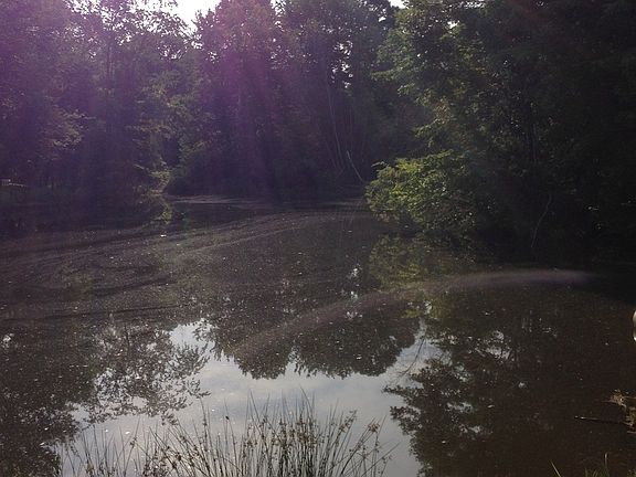 3rd image of 3203 Texas Pike