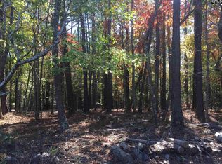 1201 Loner Rd, Blythewood, SC 29016