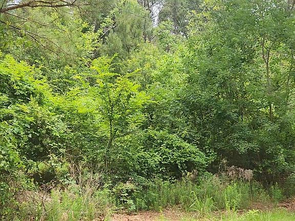 5th image of LOT 14 Basswood Ln