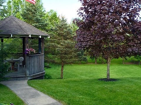 5th image of 1086 Stewart St