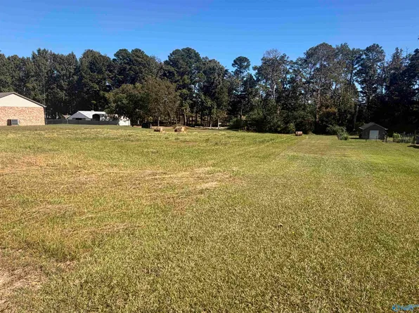 Hambrick Dr, Horton, AL 35980