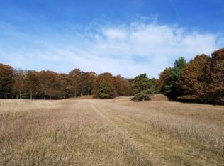 Condon Rd, Manistee, MI 49660