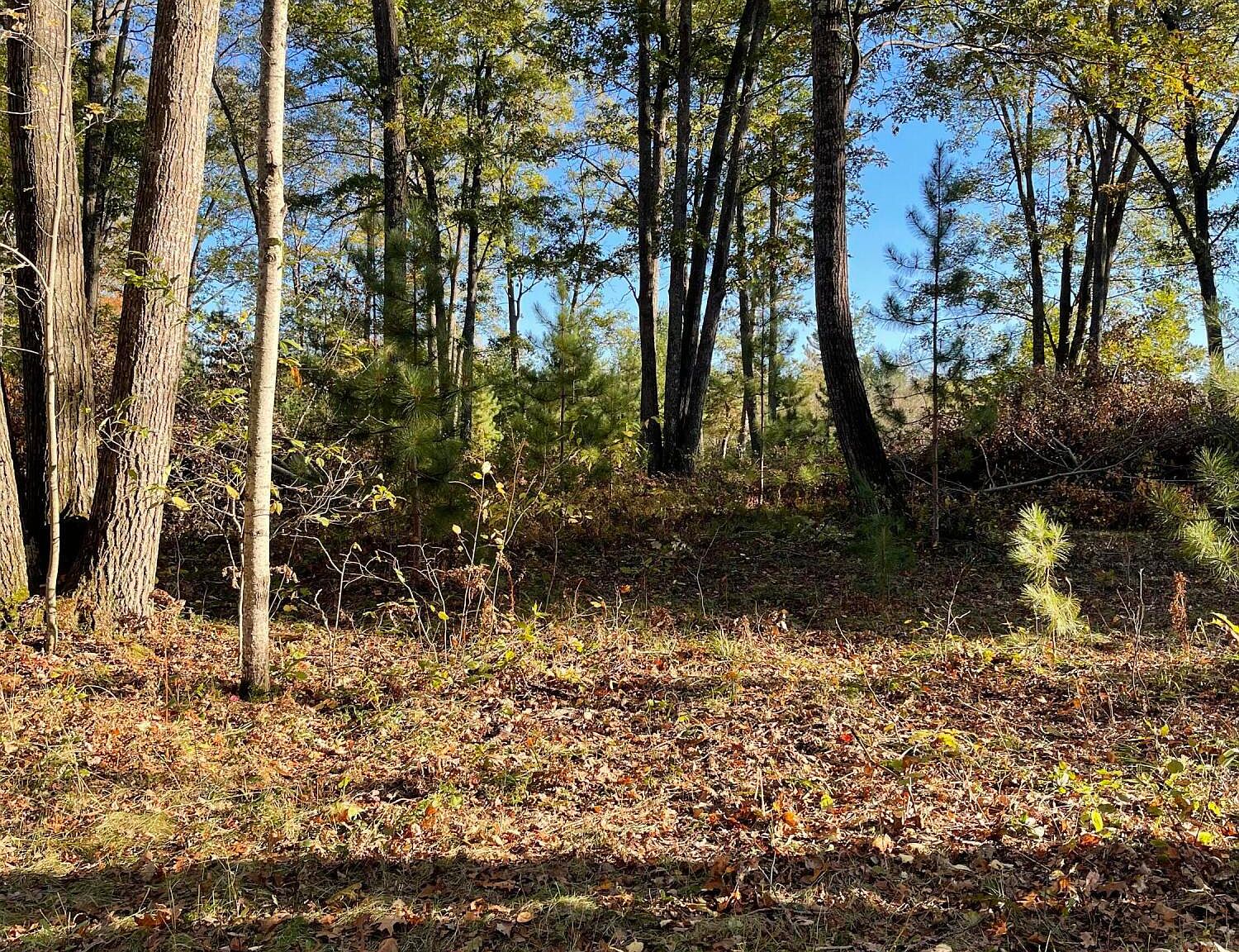 E Sucker Creek Rd UNIT 10