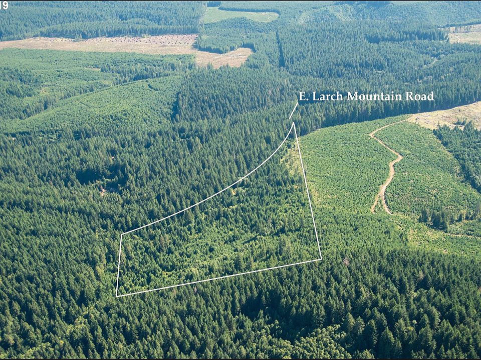 2nd image of 48601 E Larch Mountain Rd