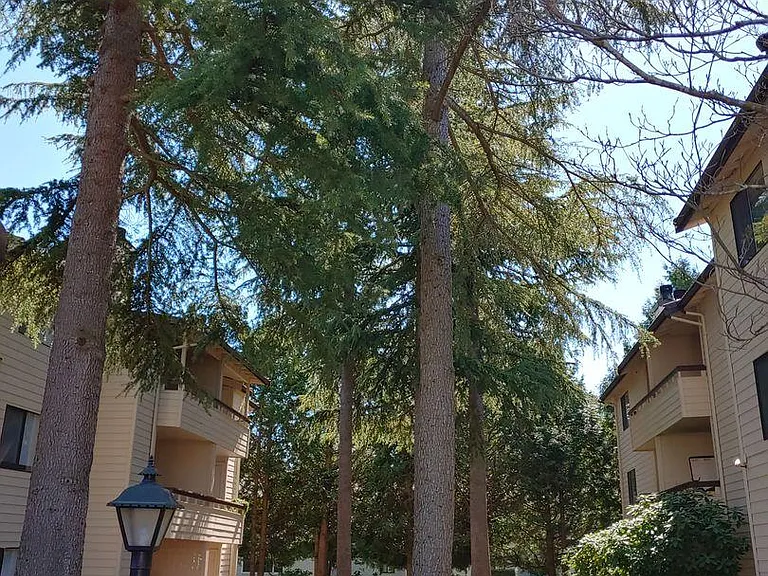 Jackson Greens Apartments — Photo 1