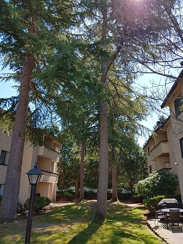 Jackson Greens Apartments Photo 1