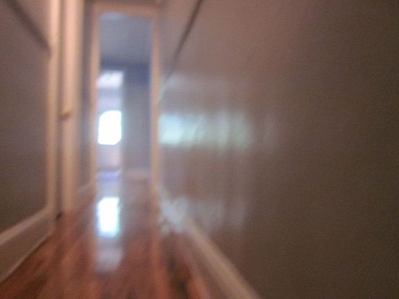 4th image of 25 Kingsland Ave #1P