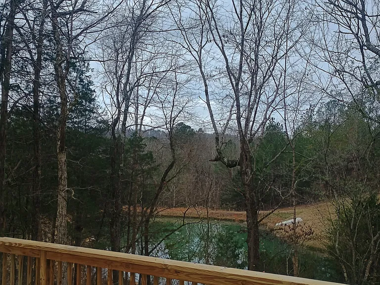 Nature view from large deck.