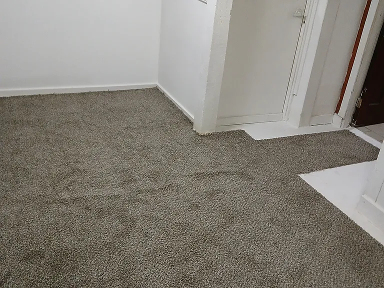5017 N Springfield Ave #BASEMENT — Photo 24