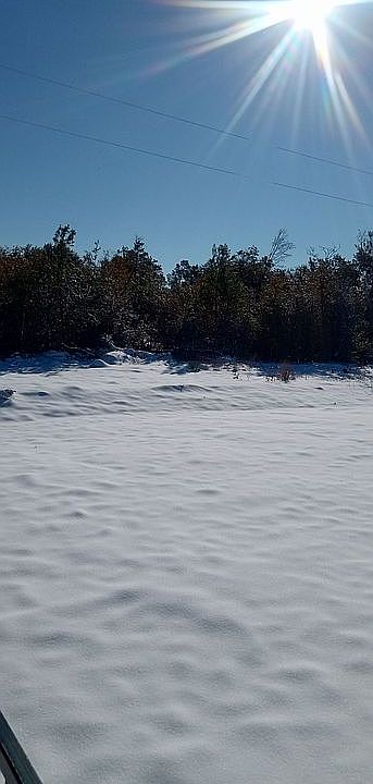 Front Yard 2025 Snowstorm