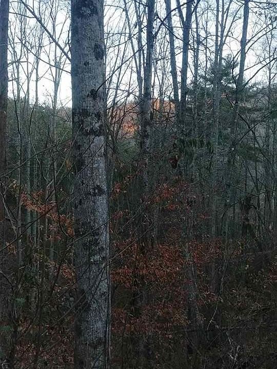 1st image of LOT Nine And 10 Patty View Way