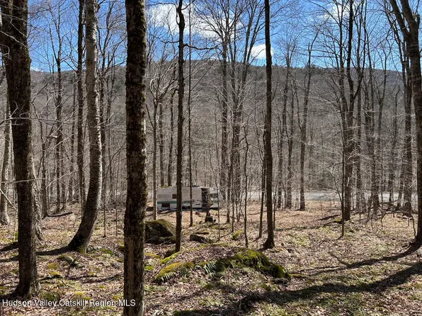 Tbd Frost Valley Road, Claryville, NY 12725