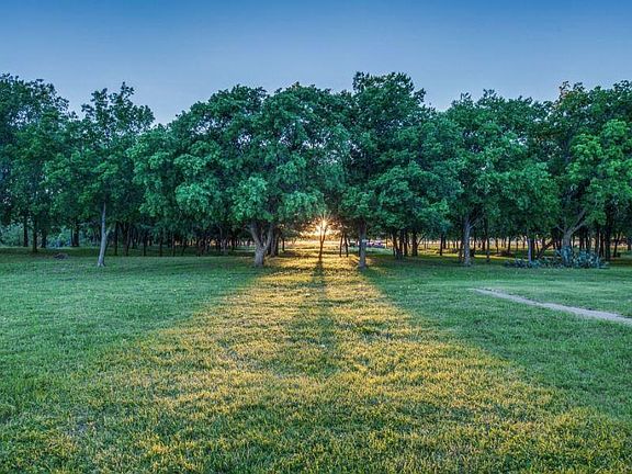 View from the back porch