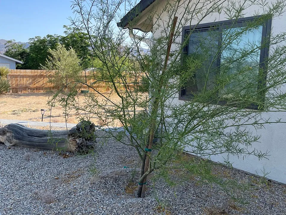 61960 Oleander Dr
