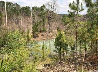 LOT 4 Salem Springs Rd, Glenwood, AR 71943