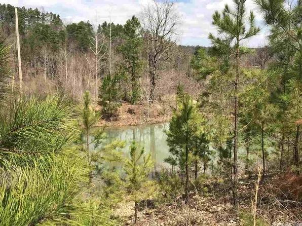 LOT 4 Salem Springs Rd, Glenwood, AR 71943