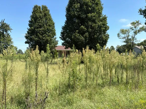 8688 Beaver Arm Rd, Ridgely, TN 38080