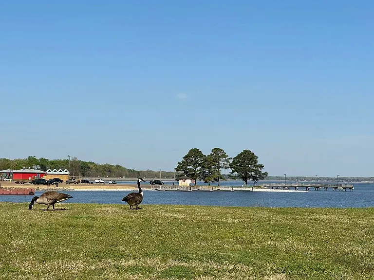 18 Charleston Cir — Photo 24